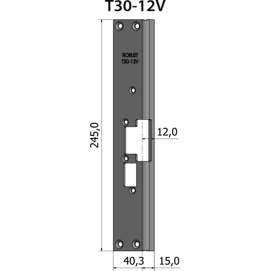 STOLPE T30-12V VINKLET 12 MM RST.EL.POL (80T30-12V)